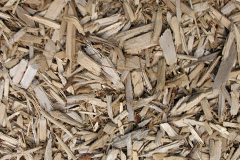 biomass boilers Torquhan